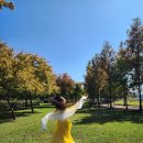 하아이(HA-AI)