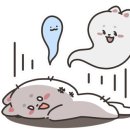 (주)간미사