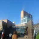 어쩌다 제주 –예비백수의 3박4일 뚜벅이 여행기- #2 핫플버스 투어(오설록~카멜리아힐)