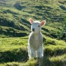 보물단지 이미지