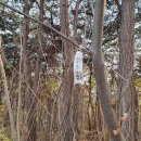 풍진목장 이미지