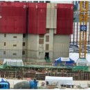 대조-010 이미지