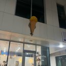 양평 두물머리 세미원 카페 수제 젤라또 전문점 &#39;델레떼&#39;