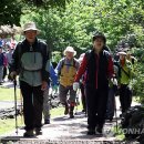 제주 &#39;원시림&#39; 교래자연휴양림 개장 이미지