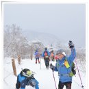 태백산 - 서구 완정로 151 | 태백산