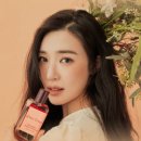 라이브아틀리에 이미지