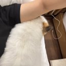 영란국밥 | 전라도여행1 (암뽕순대, 민어회 코스요리,애견호텔, 송강,뷔 카페)