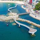 달맞이길62번길 13 이미지