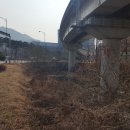 동백호수공원 삼거리 이미지