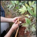 백산농장 이미지