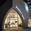 번패티번강릉 | 강릉수제버거 번패티번 내돈내산 후기 강릉애견동반 주차