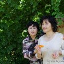 하이농장 이미지