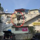 시티은행 앞 | 15년째 사랑받는 송탄 파스타 맛집, 그레이프바인 후기