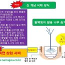부산광역시 남구청 이미지