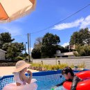 자파리203 이미지