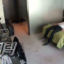 둔산로51번길 이미지