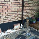 평택토종닭 이미지