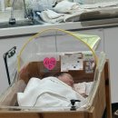 타 조리원 중도 퇴소 후 선택한 리안산후조리원, 6박 7일 이용 후기