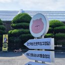세관길30 네이버블로그