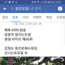 금랑은랑예술단 여름캠프 . 버스킹 공연 페이스북 조회수(사진) 보세요 이미지