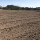 동강치과의원 이미지