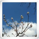 최영림농장 | 제주 - 이중섭미술관_추사관