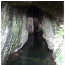 전원새움어린이집 이미지