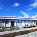 퍼플스테이 이미지