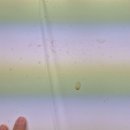 비비모터스 이미지