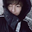 오늘도 댕댕 이미지