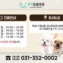 루아동물병원 이미지