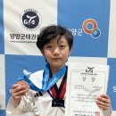 태백태권도장 이미지