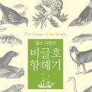 비글호 티스토리