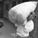 장터이야기