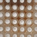 DIY 컬러테라피 천연화장품 이미지