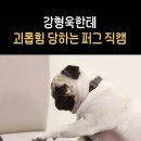 재준오빠 안뇽➿ 이미지