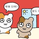 (주)가을 네이버블로그