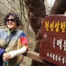 강해숙