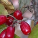 용바위산장가든 이미지