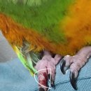 미소동물의료센터 이미지