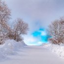 하늘목장 이미지