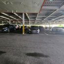 머슬핏 피트니스 이미지