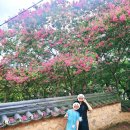 운말참숯갈비 이미지