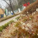 중3동 우체국 이미지