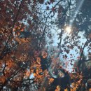 금정카 | 부산 가을 단풍명소 완성코스! 동래 금강공원 금정산성 케이블카 당일치기