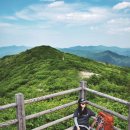 삼둔사가리