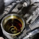 오토오아시스롯데마트시흥점 이미지