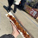 해돋이정보화마을 | 하동 매화축제 후기 + 곡성기차마을 + 부산여행 (feat. 꽃샘추위)