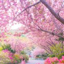 만수노인복지원 이미지