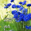 대도요양보호사교육원 네이버블로그
